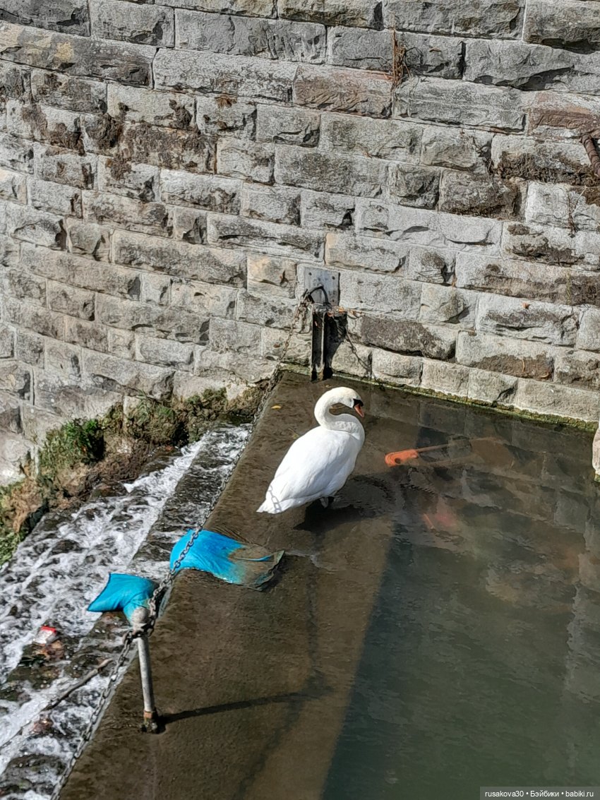 Путешествуем по Лемингтон-Спа (Leamington Spa) (фото 9)