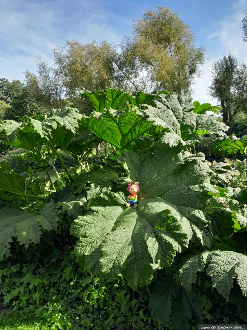 Путешествуем по Лемингтон-Спа (Leamington Spa) (фото 7)