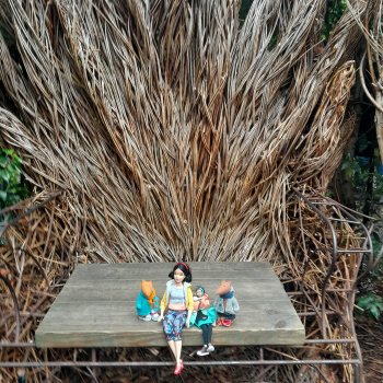 Окрестности замка музея Ворик.