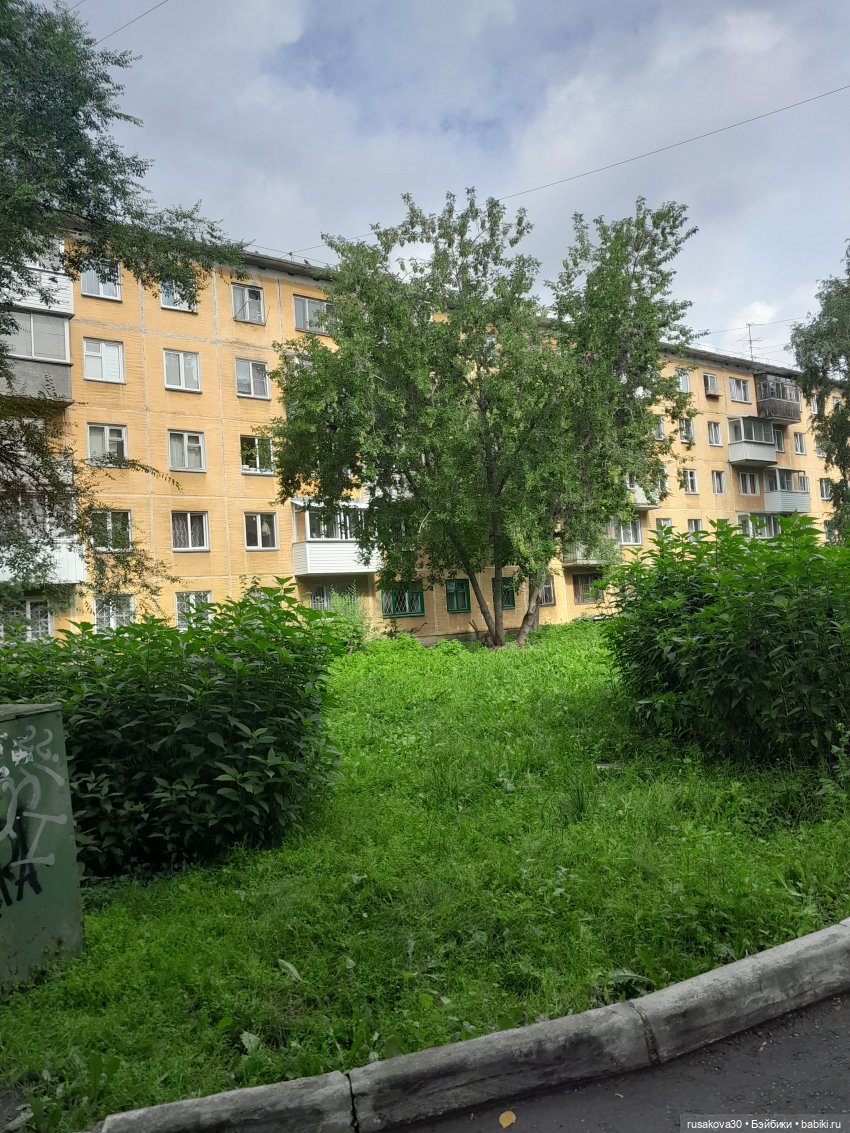 Вспоминаем лето...прогулки со Снежкой | Бэйбики Вспоминаем лето...прогулки со Снежкой