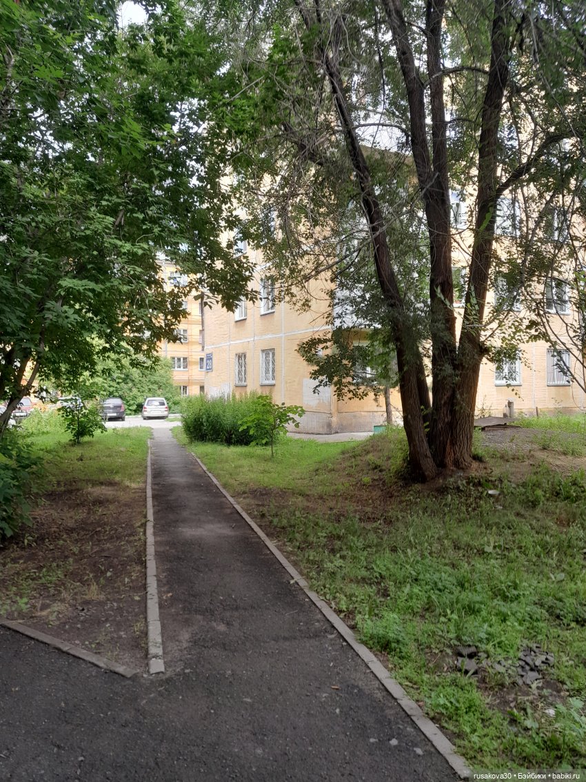 Вспоминаем лето...прогулки со Снежкой | Бэйбики Вспоминаем лето...прогулки со Снежкой