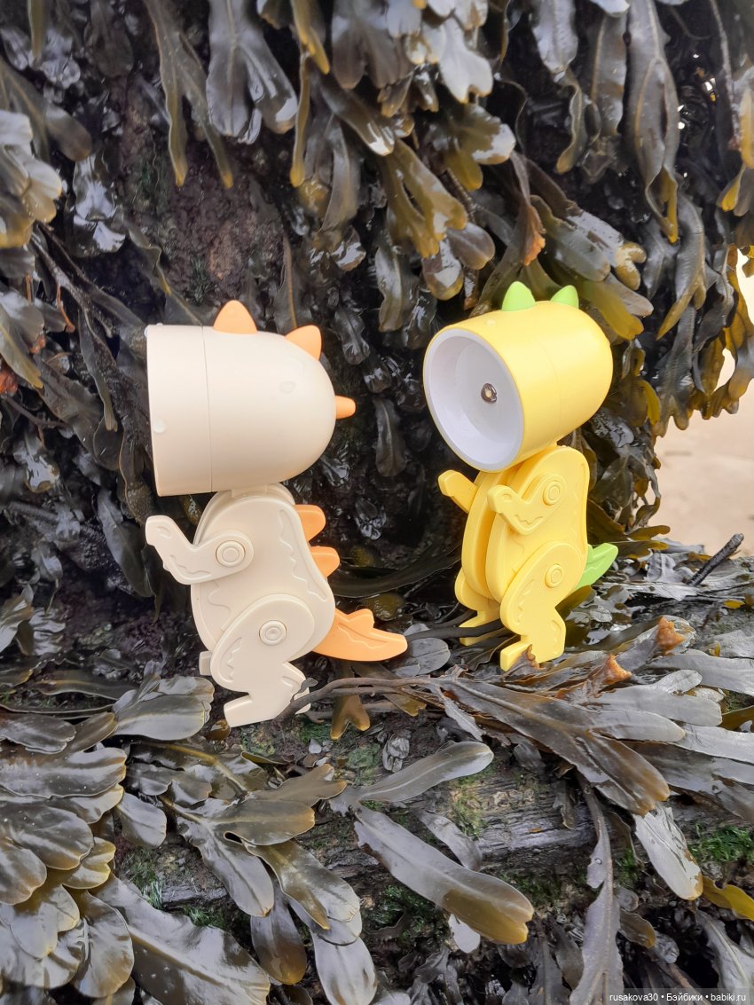 Небольшая прогулка в Кромер | Бэйбики Небольшая прогулка в Кромер (фото 2)