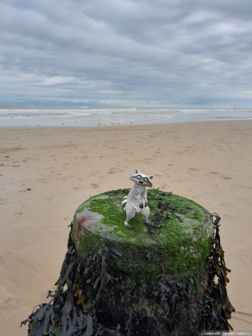 Небольшая прогулка в Кромер | Бэйбики Небольшая прогулка в Кромер (фото 9)