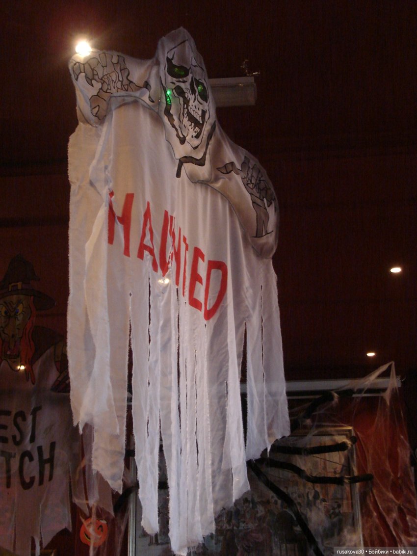 Бруммель и его уже второй Хэллоуин