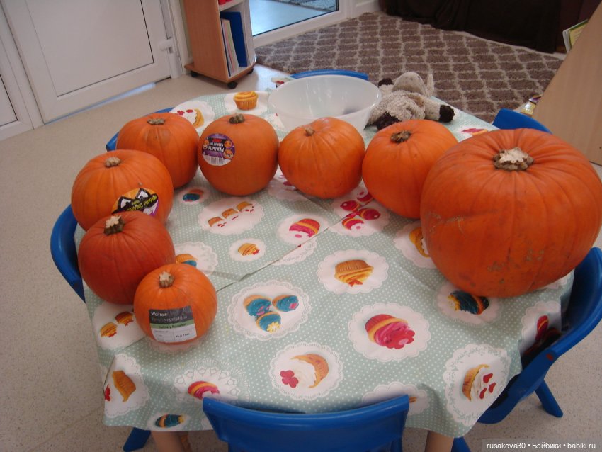 Бруммель и его уже второй Хэллоуин