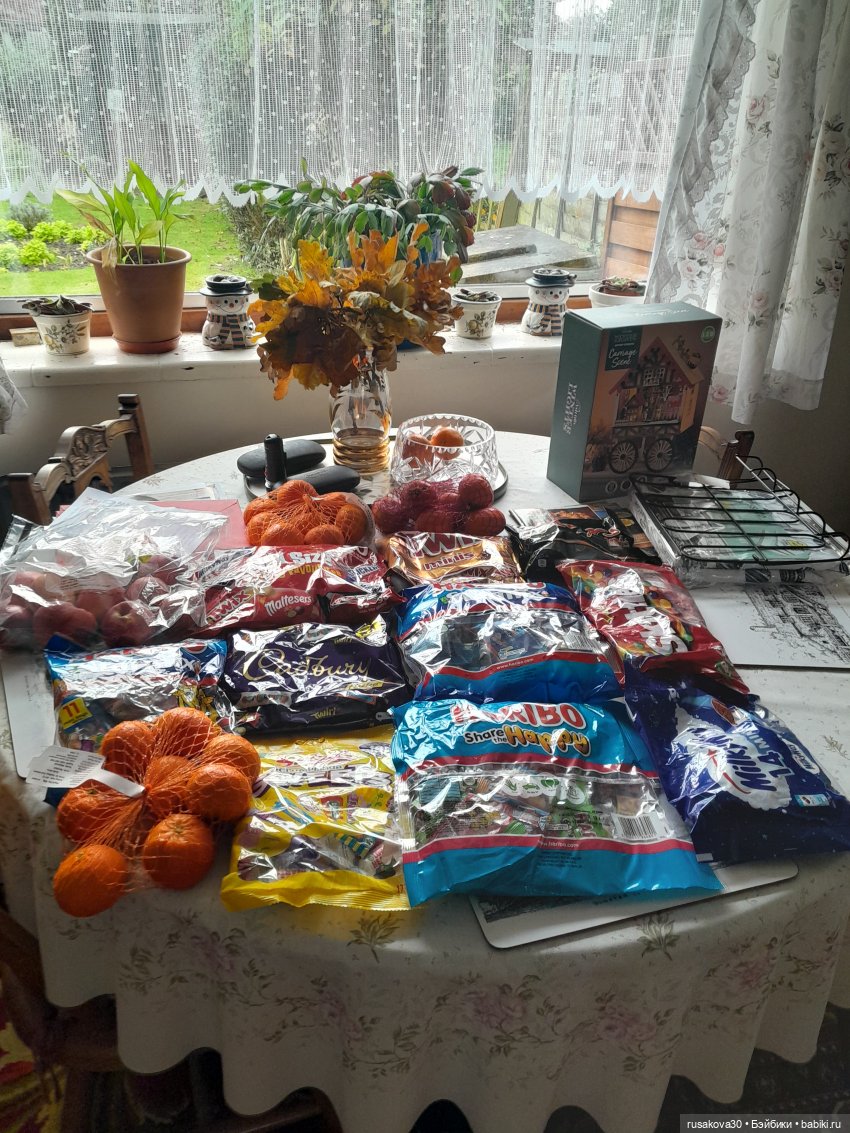 Бруммель и его уже второй Хэллоуин