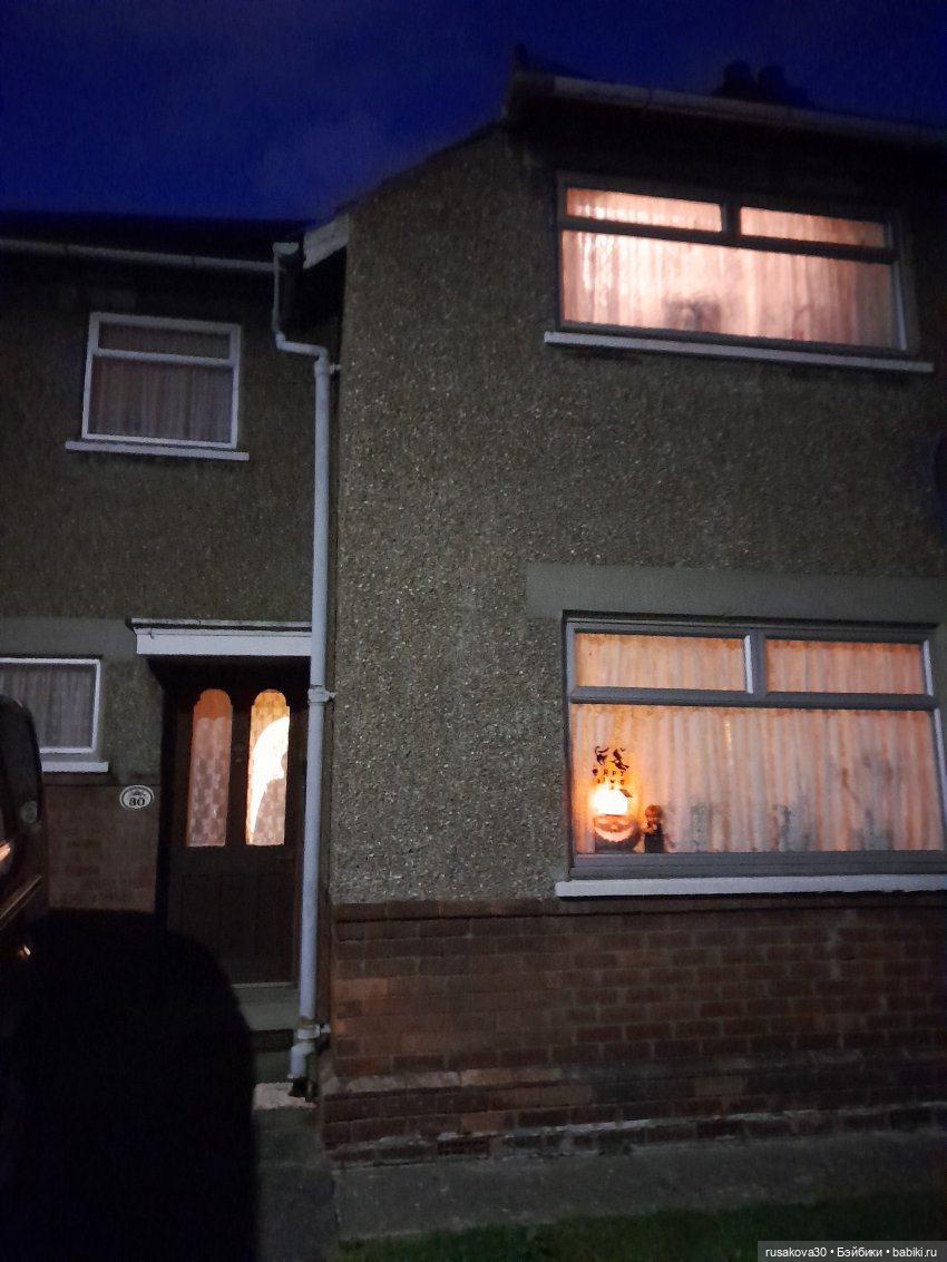 Бруммель и его уже второй Хэллоуин (фото 4)