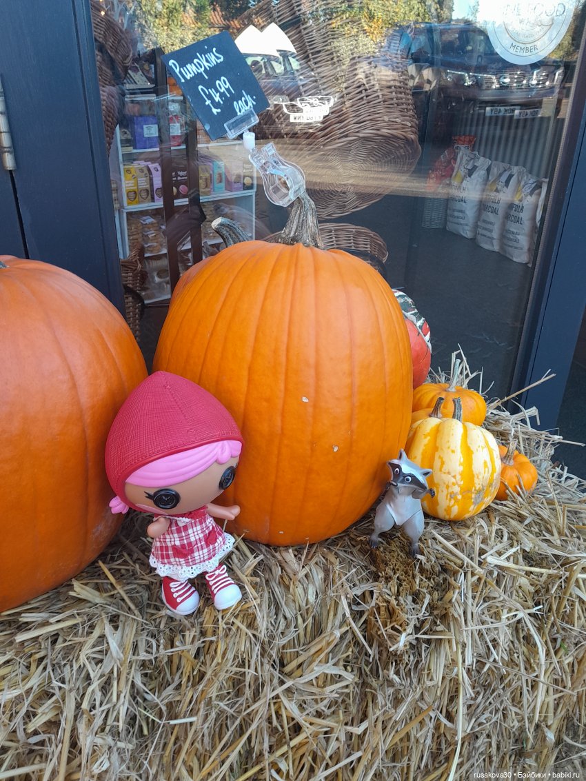 Еще одна Красная Шапочка — Куклы Lalaloopsy (Лалалупси): Mini (фото 9)