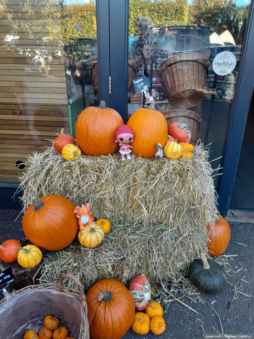 Еще одна Красная Шапочка — Куклы Lalaloopsy (Лалалупси): Mini (фото 8)