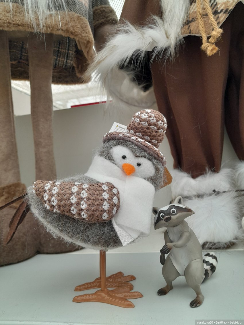 Руби и енотик путешествуют