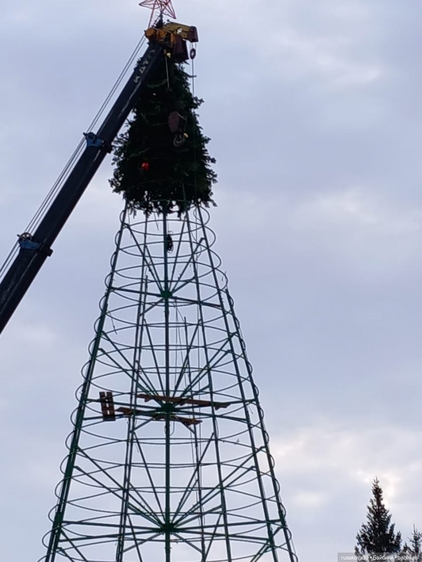 Кофейные котики и Снеговичок (фото 9)