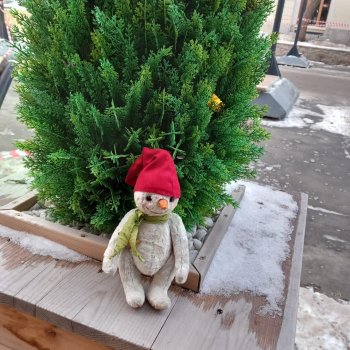 Кофейные котики и Снеговичок.