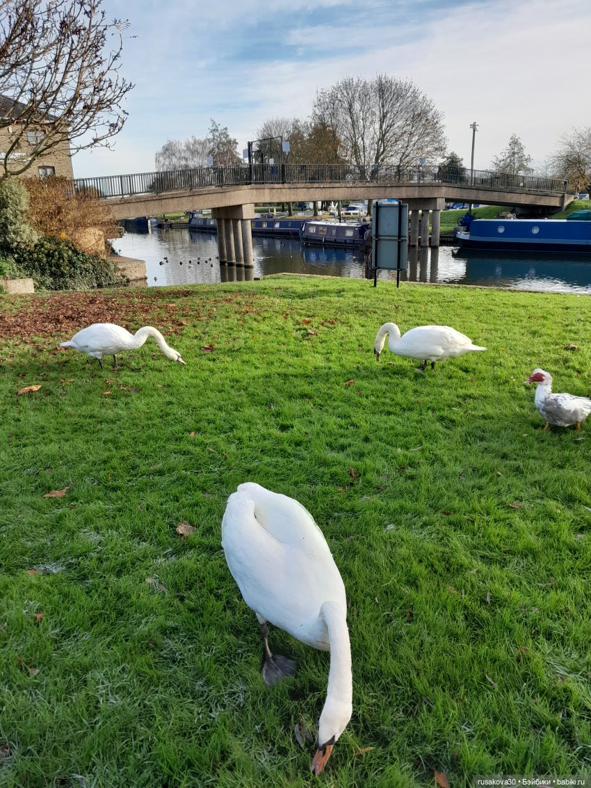 20 лет тому назад — Куклы Rosemarie Anna Muller (Мюллер): Вихтели (Wichtel)