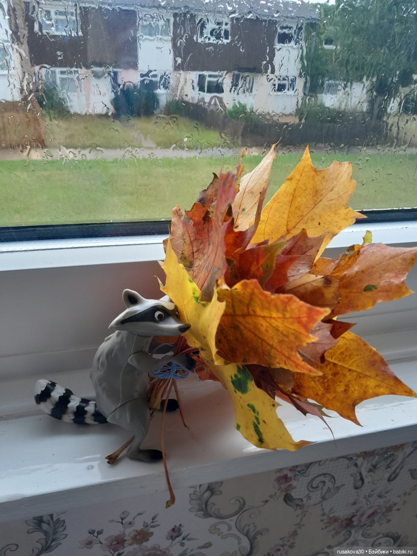 Енотик — Коллекционные фигурки (разное): животные (фото 8)