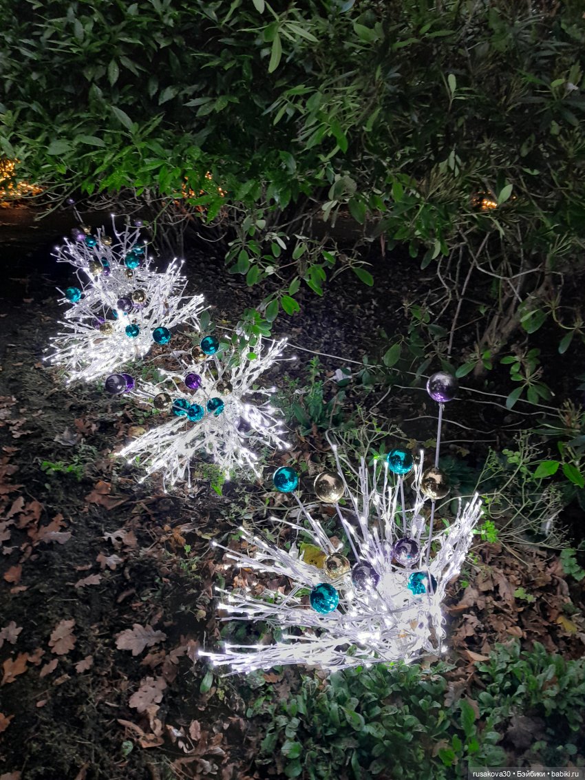 Рапа ,Людвиг и Нильс едут в Ессекс