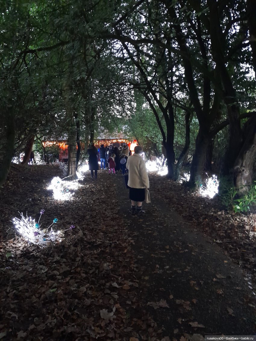 Рапа ,Людвиг и Нильс едут в Ессекс