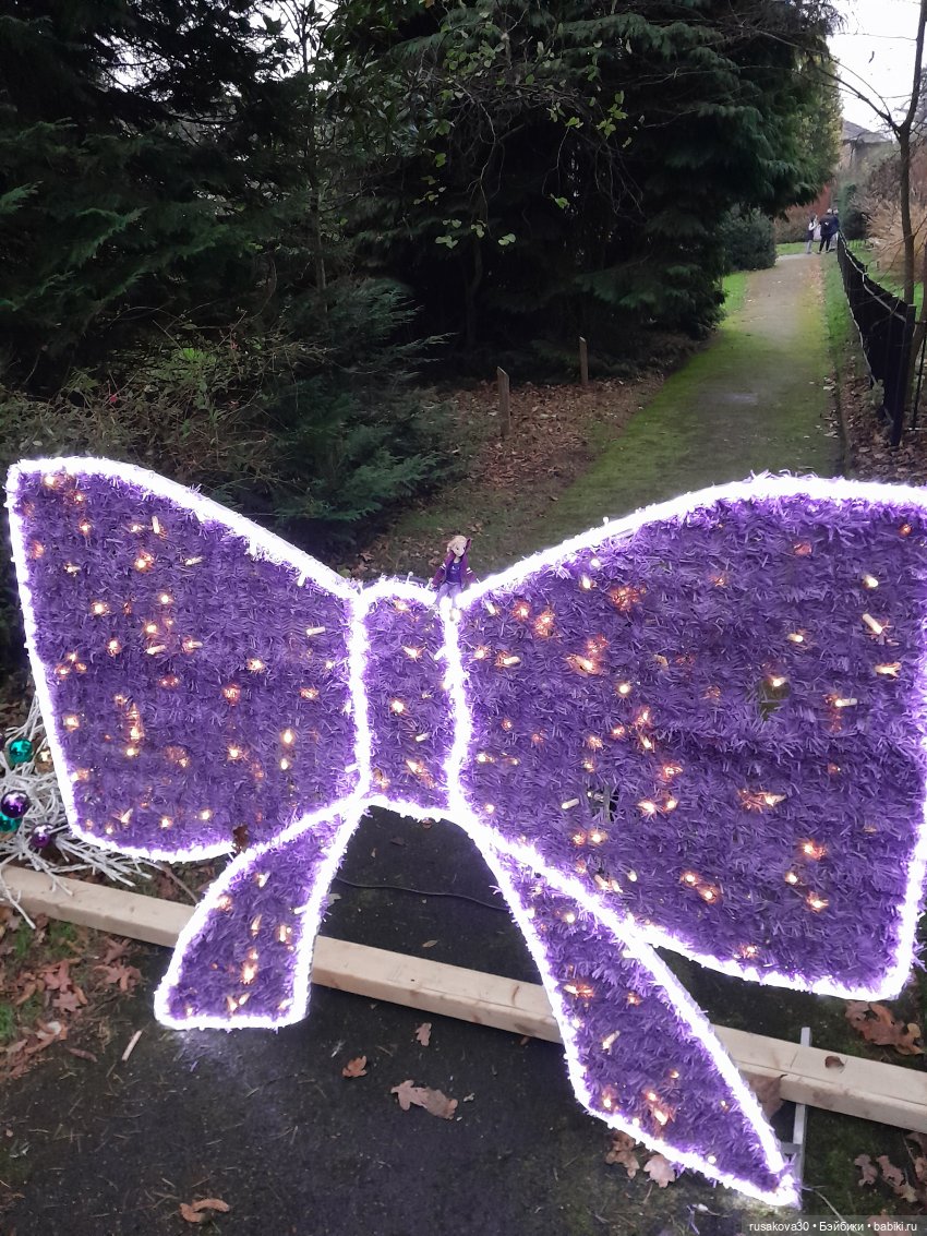 Рапа ,Людвиг и Нильс едут в Ессекс