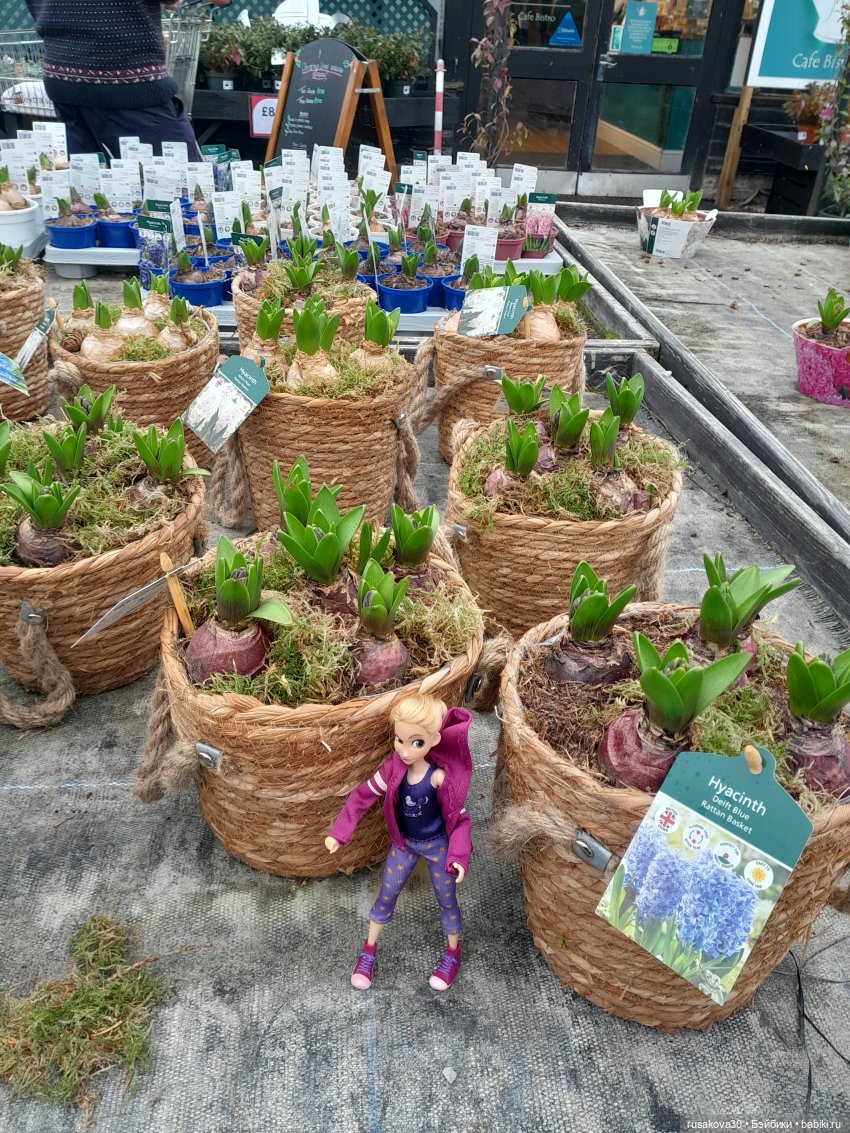 Рапа ,Людвиг и Нильс едут в Ессекс