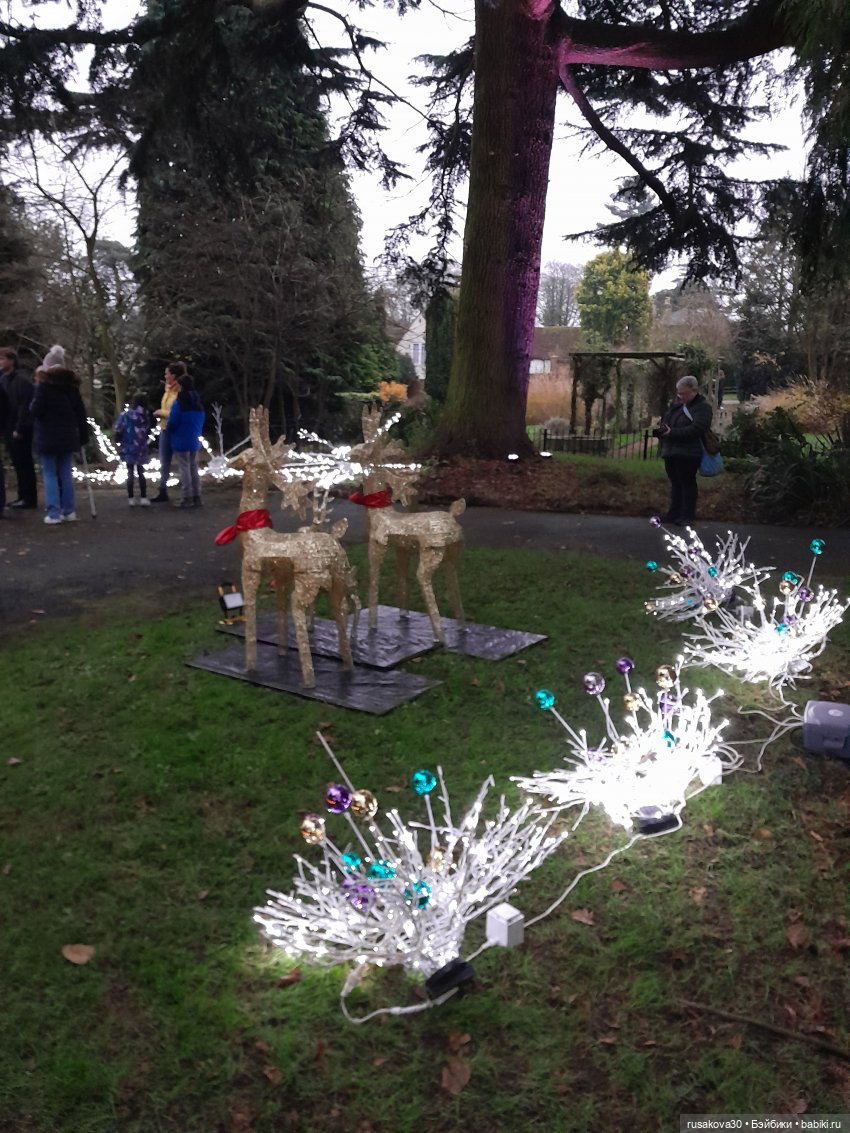 Рапа ,Людвиг и Нильс едут в Ессекс