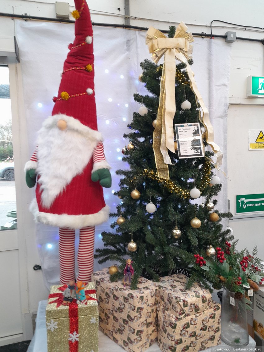 Рапа ,Людвиг и Нильс едут в Ессекс (фото 10)