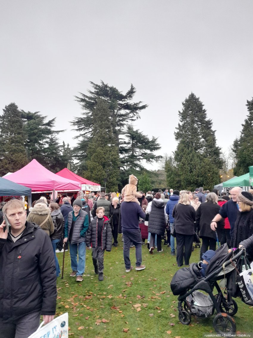 Рапа ,Людвиг и Нильс едут в Ессекс