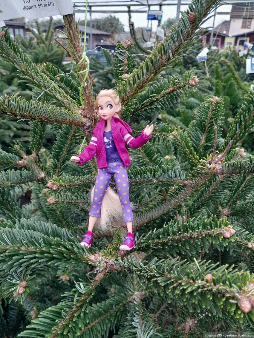 Рапа ,Людвиг и Нильс едут в Ессекс