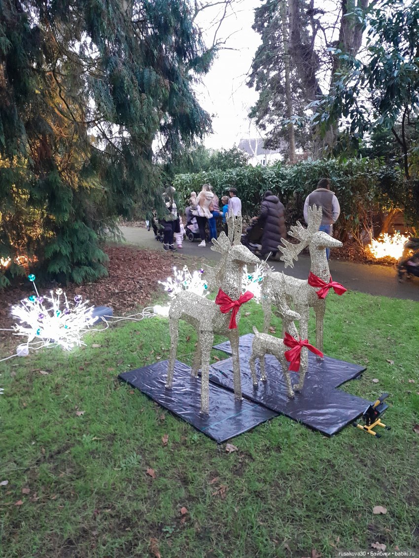 Рапа ,Людвиг и Нильс едут в Ессекс