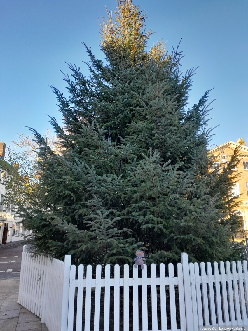 Какая рождественская витрина лучше