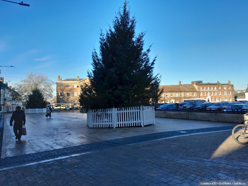 Какая рождественская витрина лучше