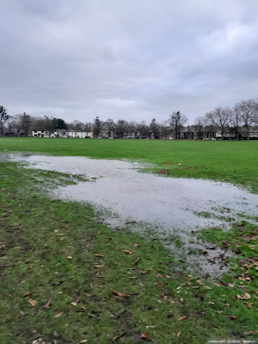 Малыш Гринч — Интересные игрушки и фигурки (разное): редкие