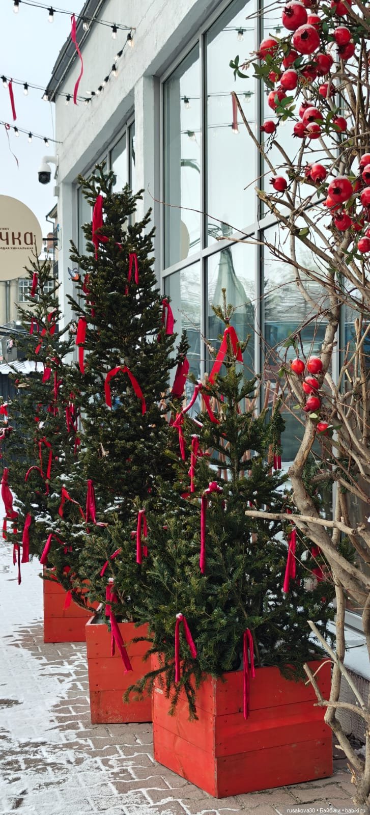 Елочные игрушки — Другие хобби и увлечения: сад (фото 7)