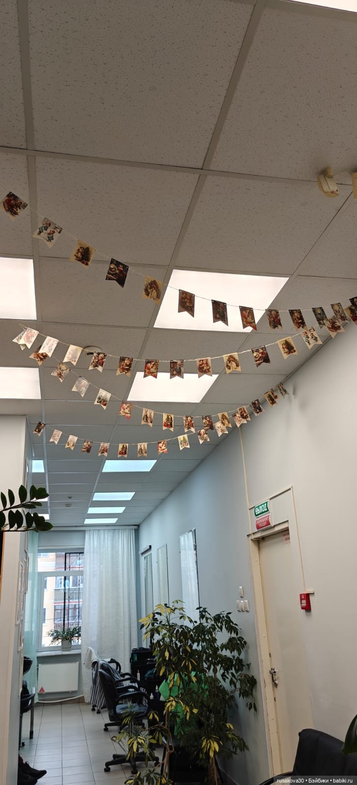 Елочные игрушки — Другие хобби и увлечения: сад (фото 9)