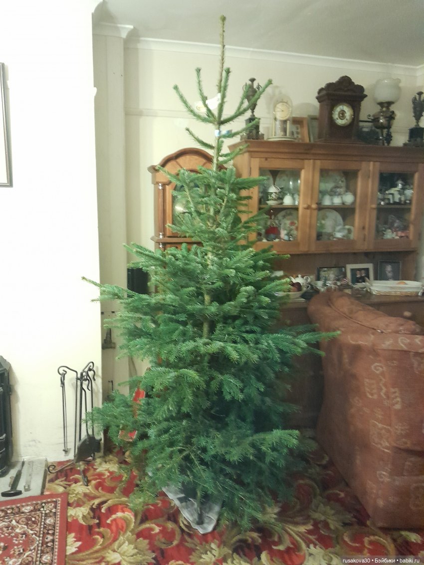 Как Мийки и Мио елочку наряжали (фото 4)