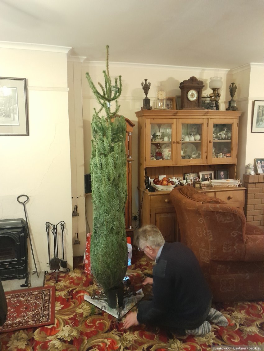 Как Мийки и Мио елочку наряжали (фото 3)