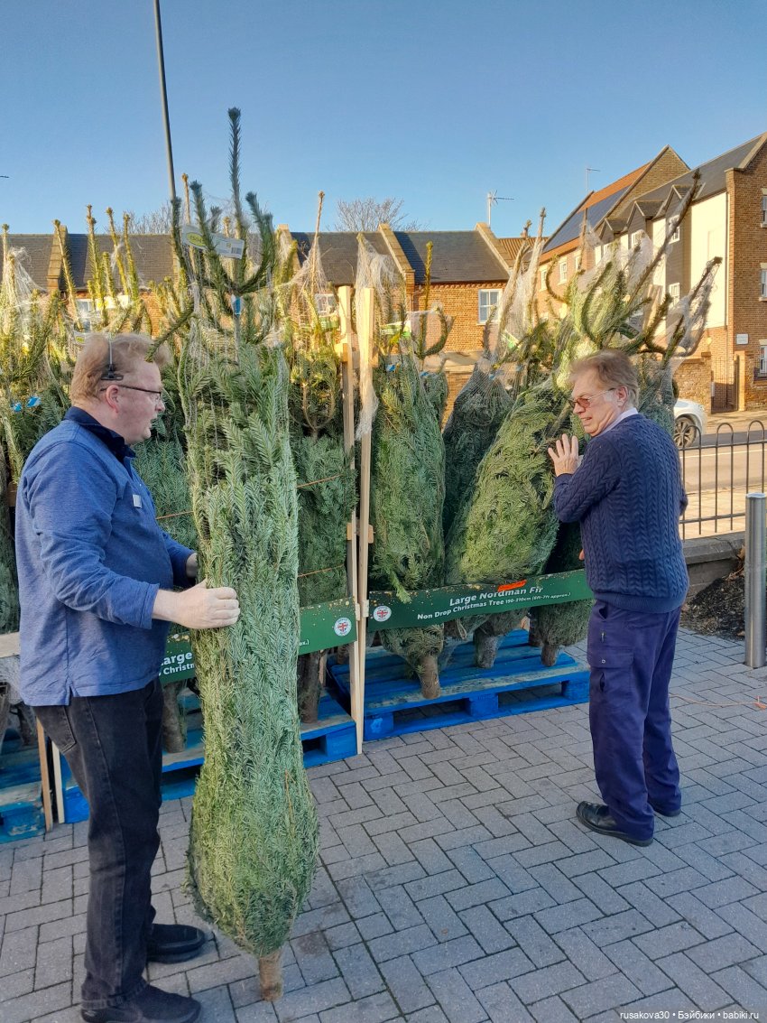 Как Мийки и Мио елочку наряжали (фото 2)