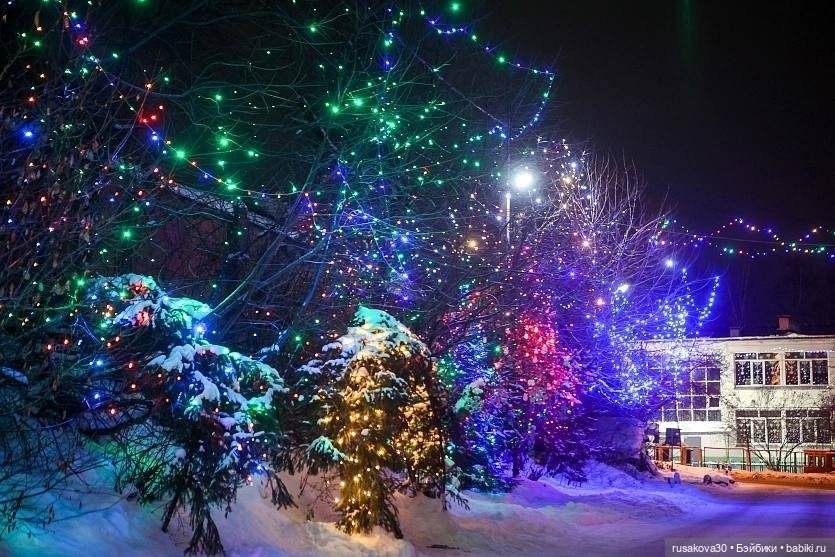 Год Дракона , до свидания