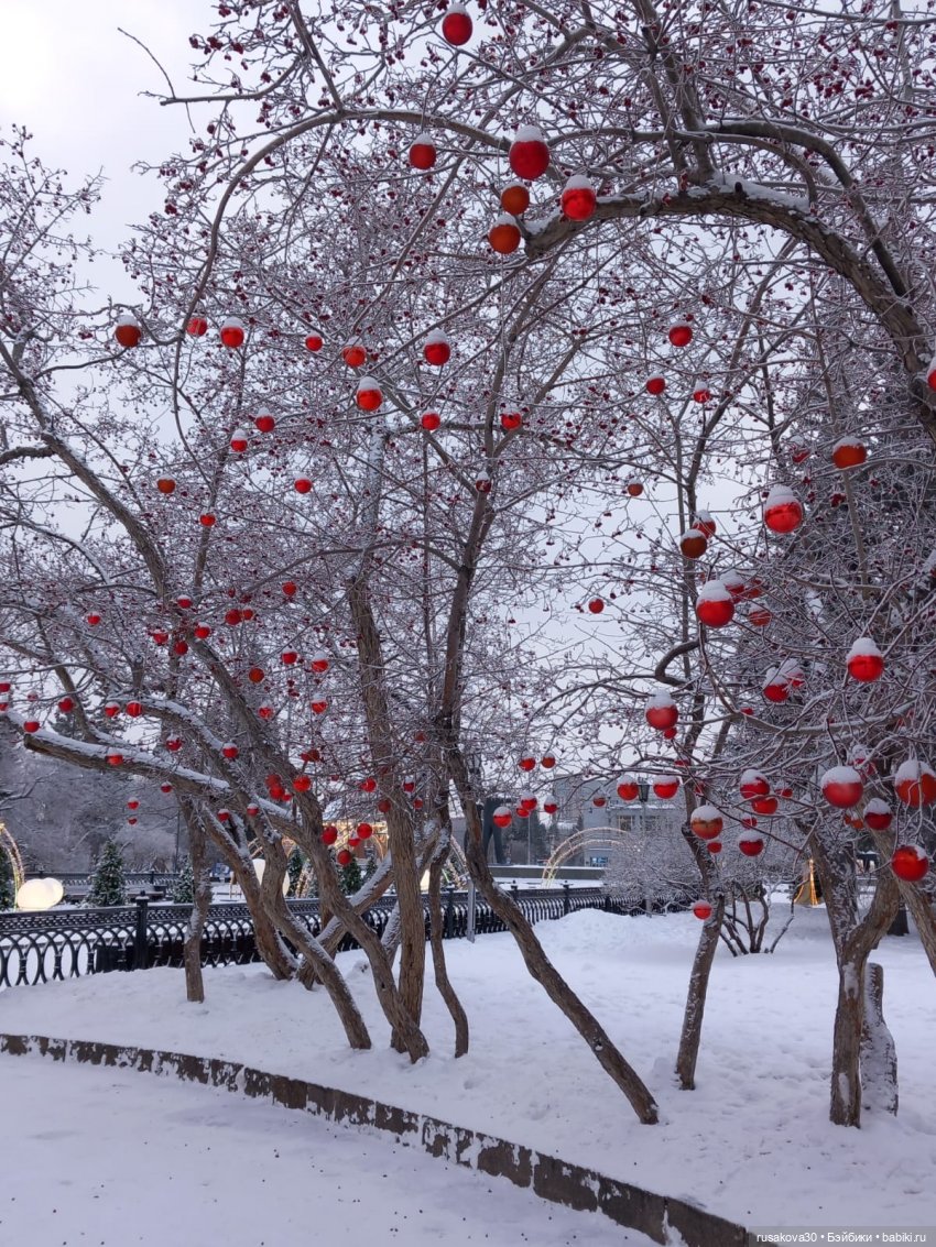 Год Дракона , до свидания