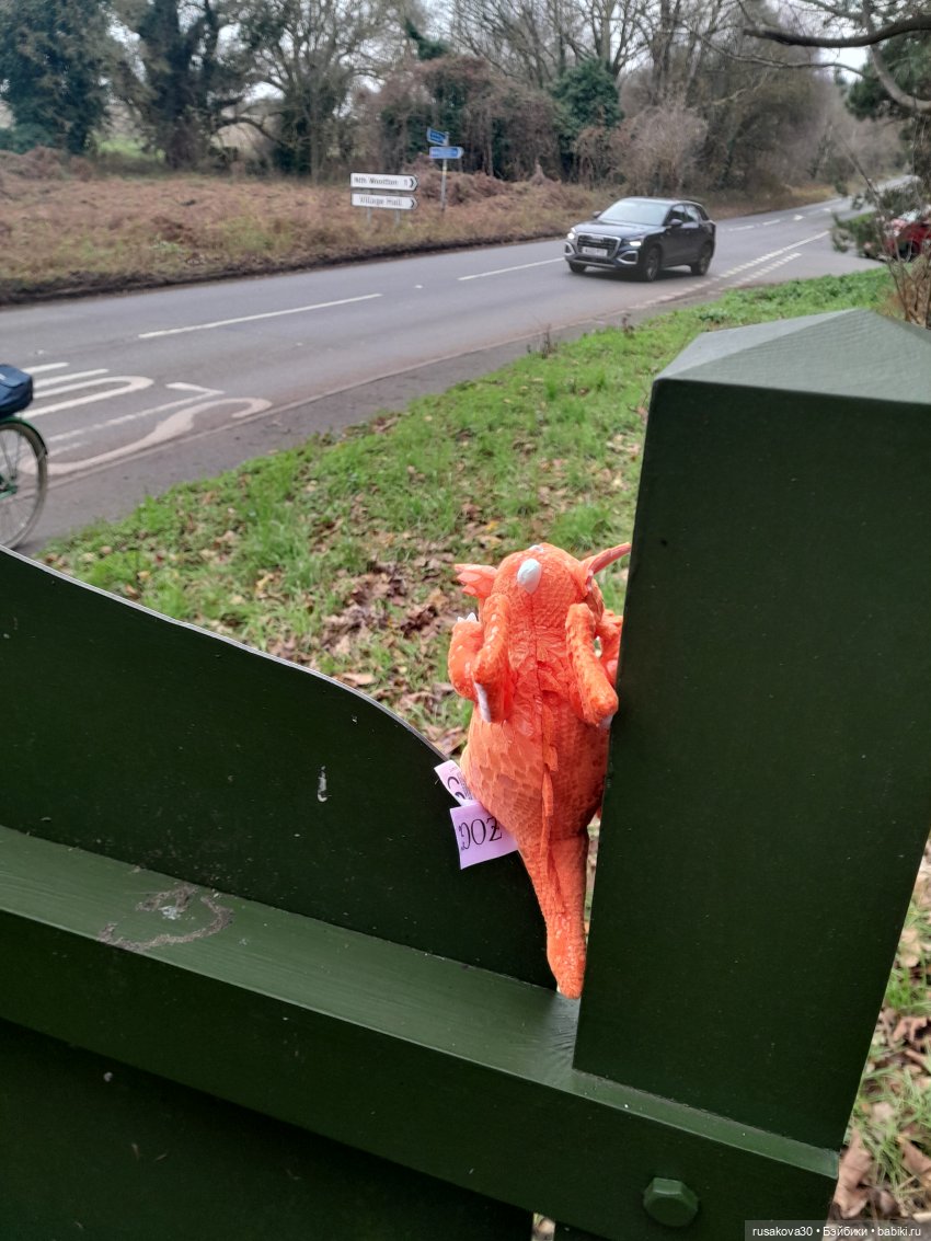 Год Дракона , до свидания (фото 7)