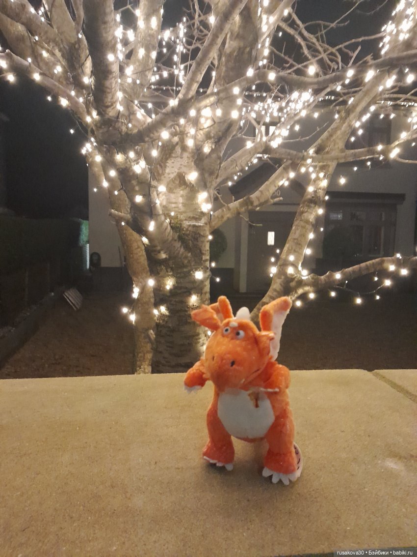 Год Дракона , до свидания