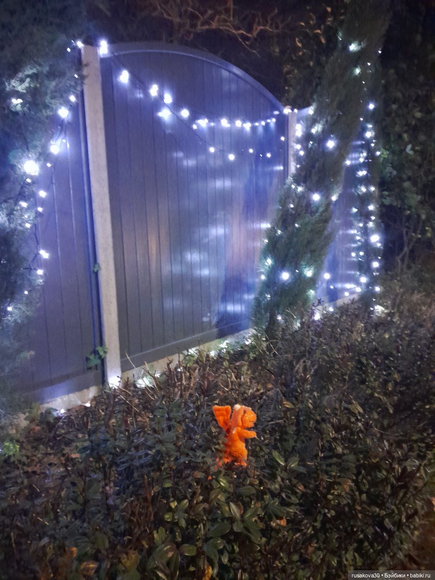 Год Дракона , до свидания (фото 9)