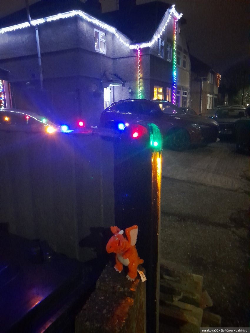 Год Дракона , до свидания (фото 8)