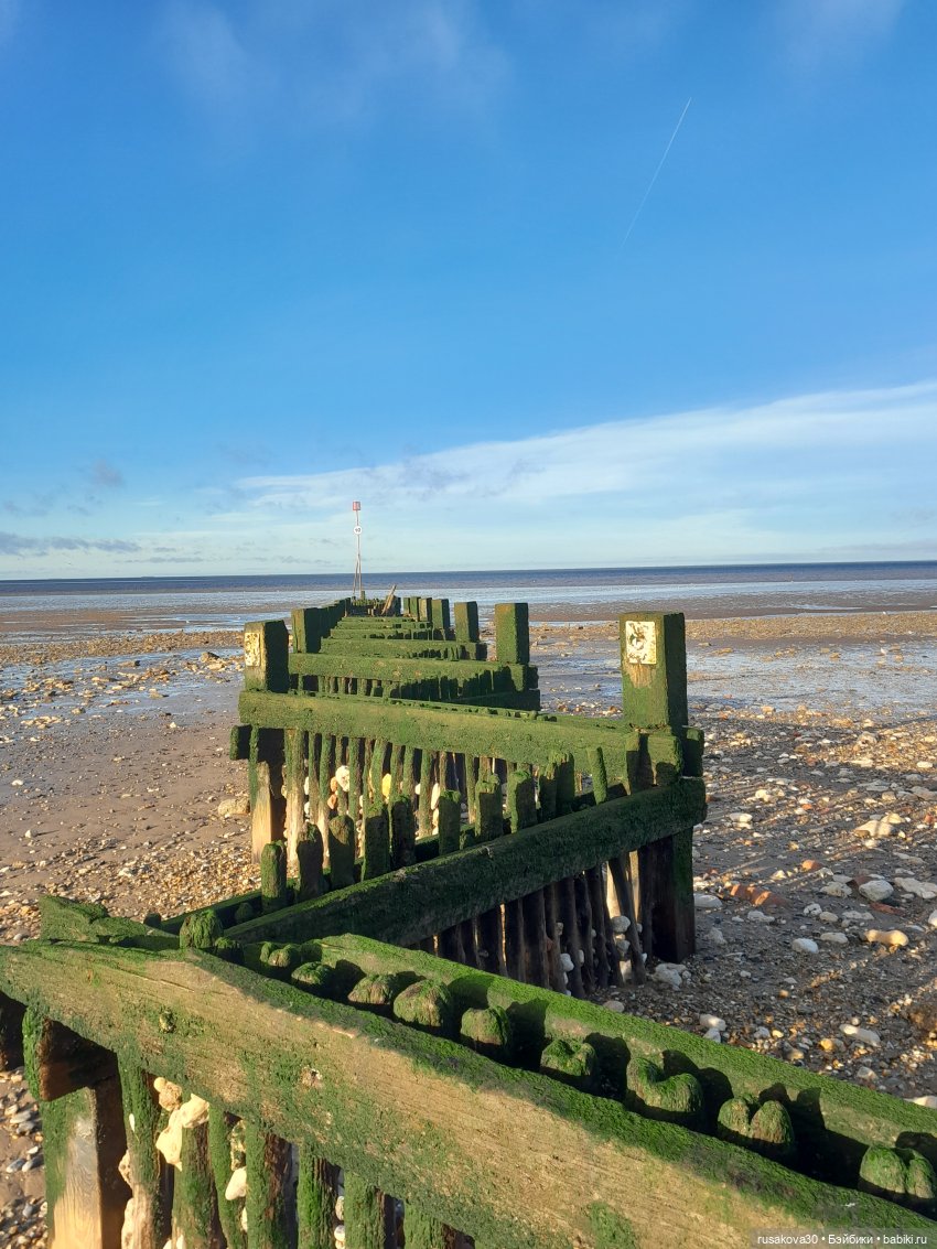 Первая прогулка Даши — Куклы Paola Reina (Паола Рейна): новинки (фото 9)