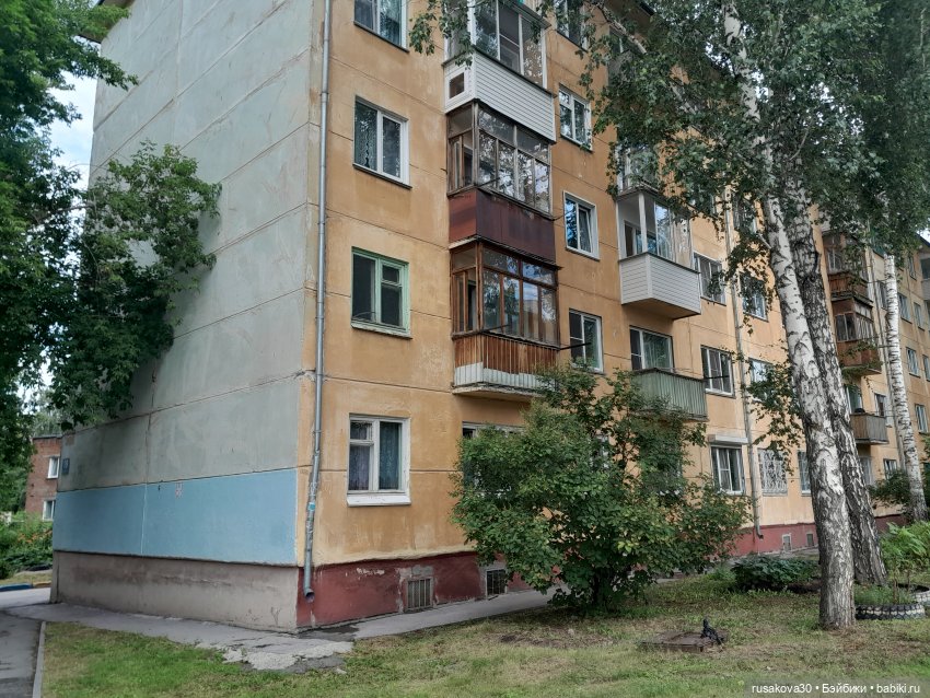 Вспоминаем лето...прогулки со Снежкой | Бэйбики Вспоминаем лето...прогулки со Снежкой