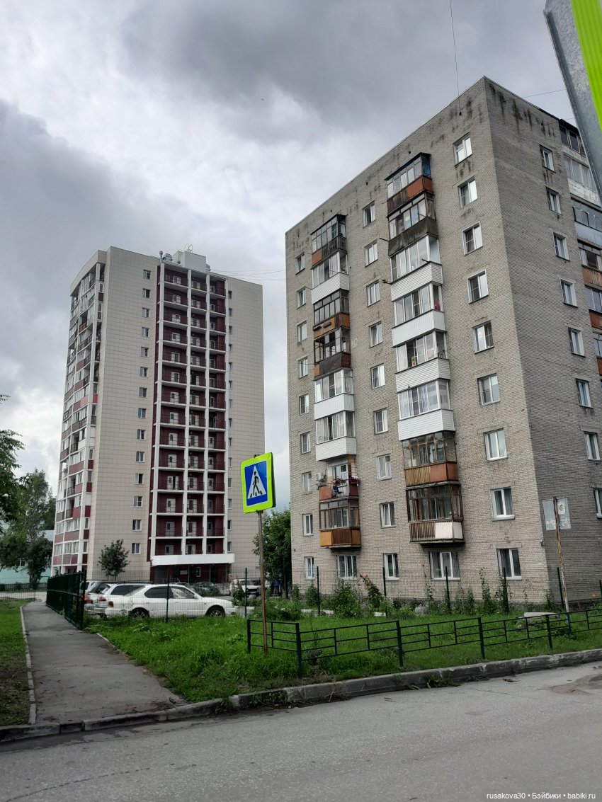 Вспоминаем лето...прогулки со Снежкой | Бэйбики Вспоминаем лето...прогулки со Снежкой