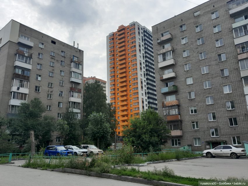 Вспоминаем лето...прогулки со Снежкой | Бэйбики Вспоминаем лето...прогулки со Снежкой