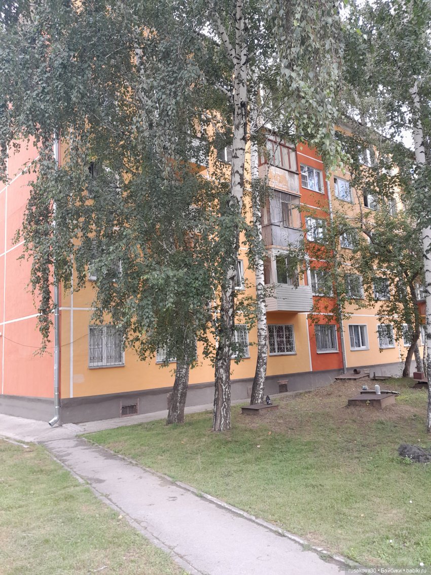 Вспоминаем лето...прогулки со Снежкой | Бэйбики Вспоминаем лето...прогулки со Снежкой