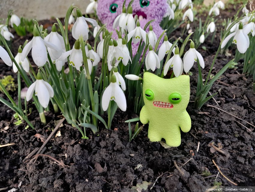 Такие страшно милые Фаглерсы