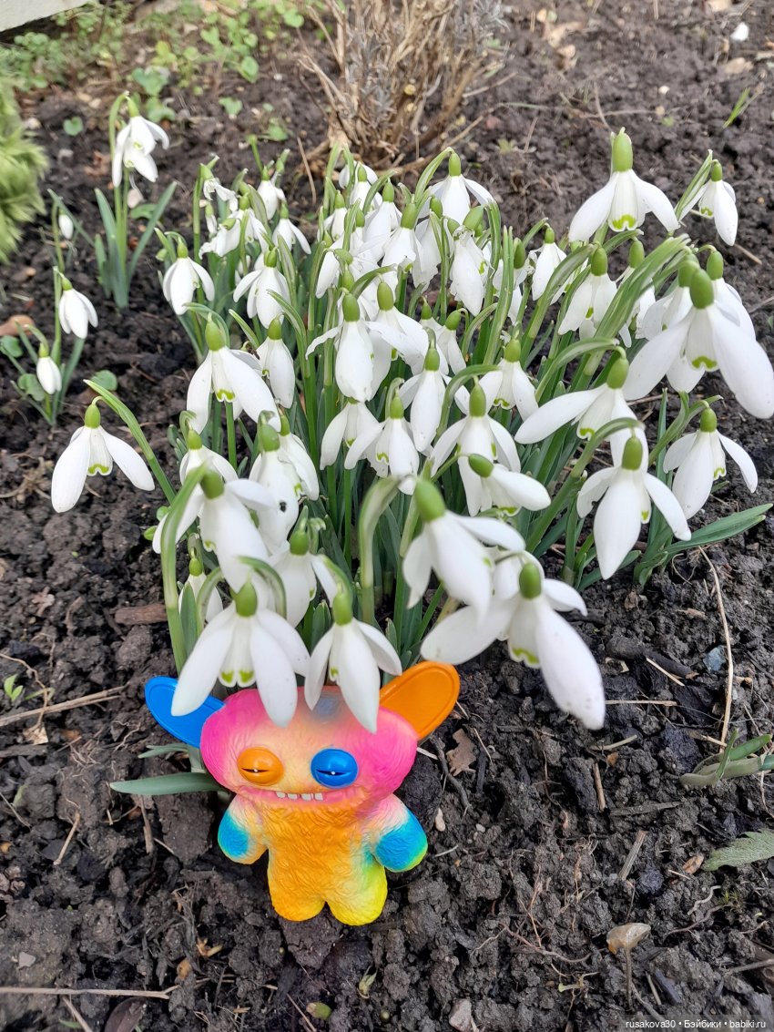 Такие страшно милые Фаглерсы