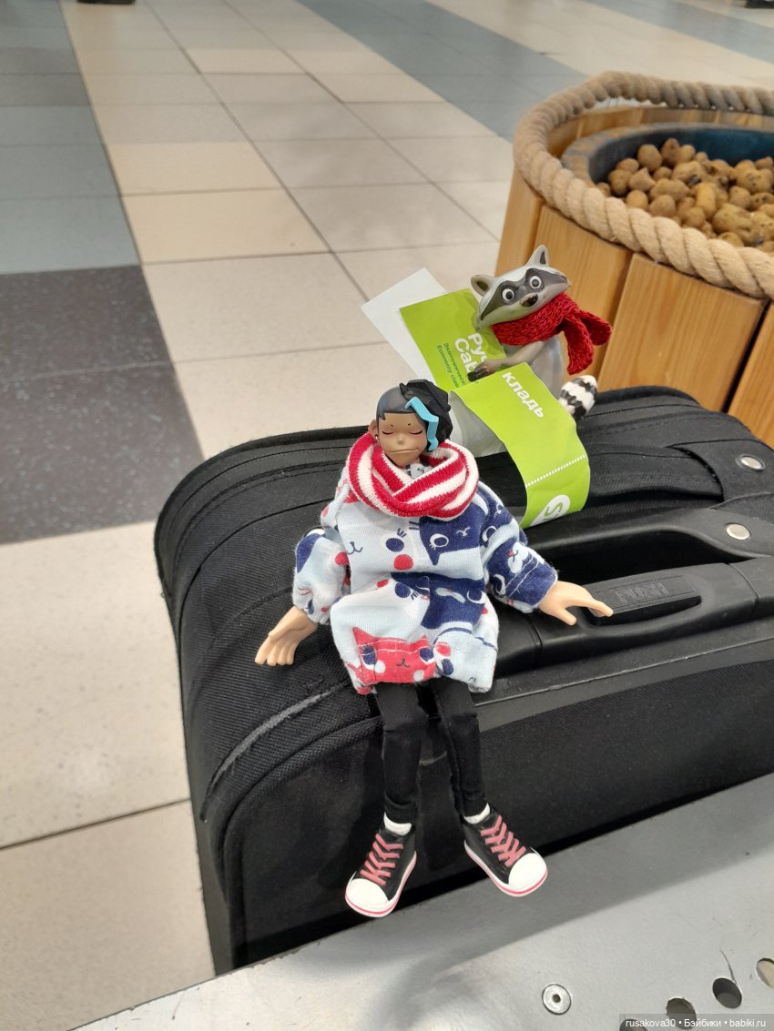 Ну вот мы и прилетели в Новосибирск (фото 3)