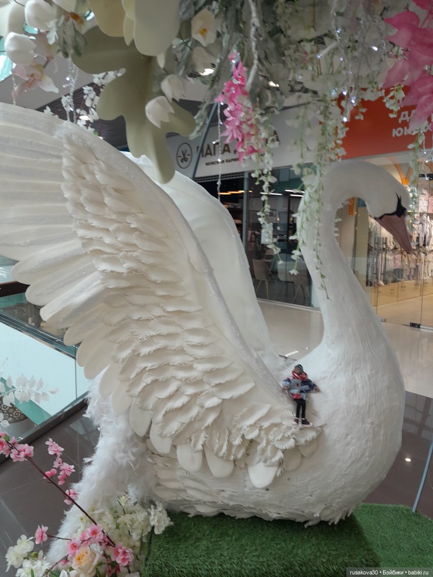 Ну вот мы и прилетели в Новосибирск